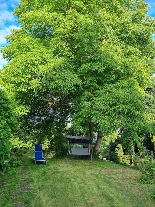 Ferienhaus Hildegard & Horst - Urlaub Im Herzen Des Fichtelgebirge Hohenberg an der Eger エクステリア 写真